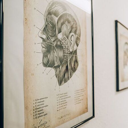 Logopädie für Erwachsene