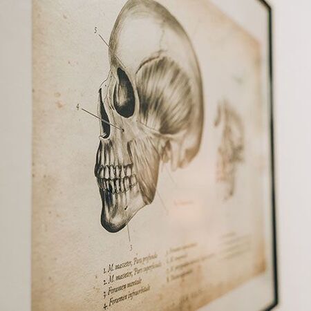 Logopädie für Erwachsene